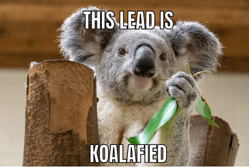 lead qualification meme